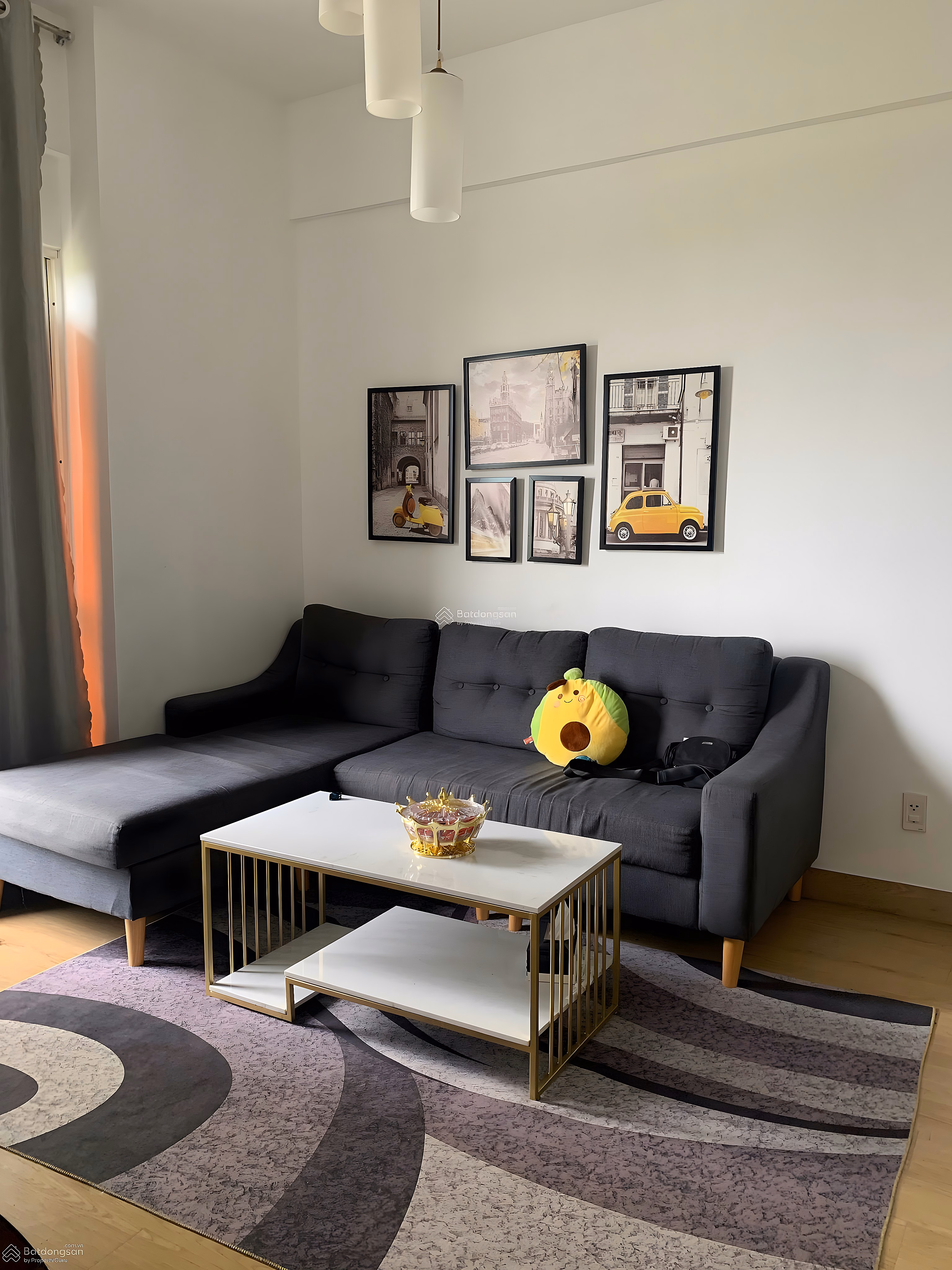 Conic Riverside apartment for rent, 2 bedrooms, 2 bedrooms fully furnished, price 8 million/month***