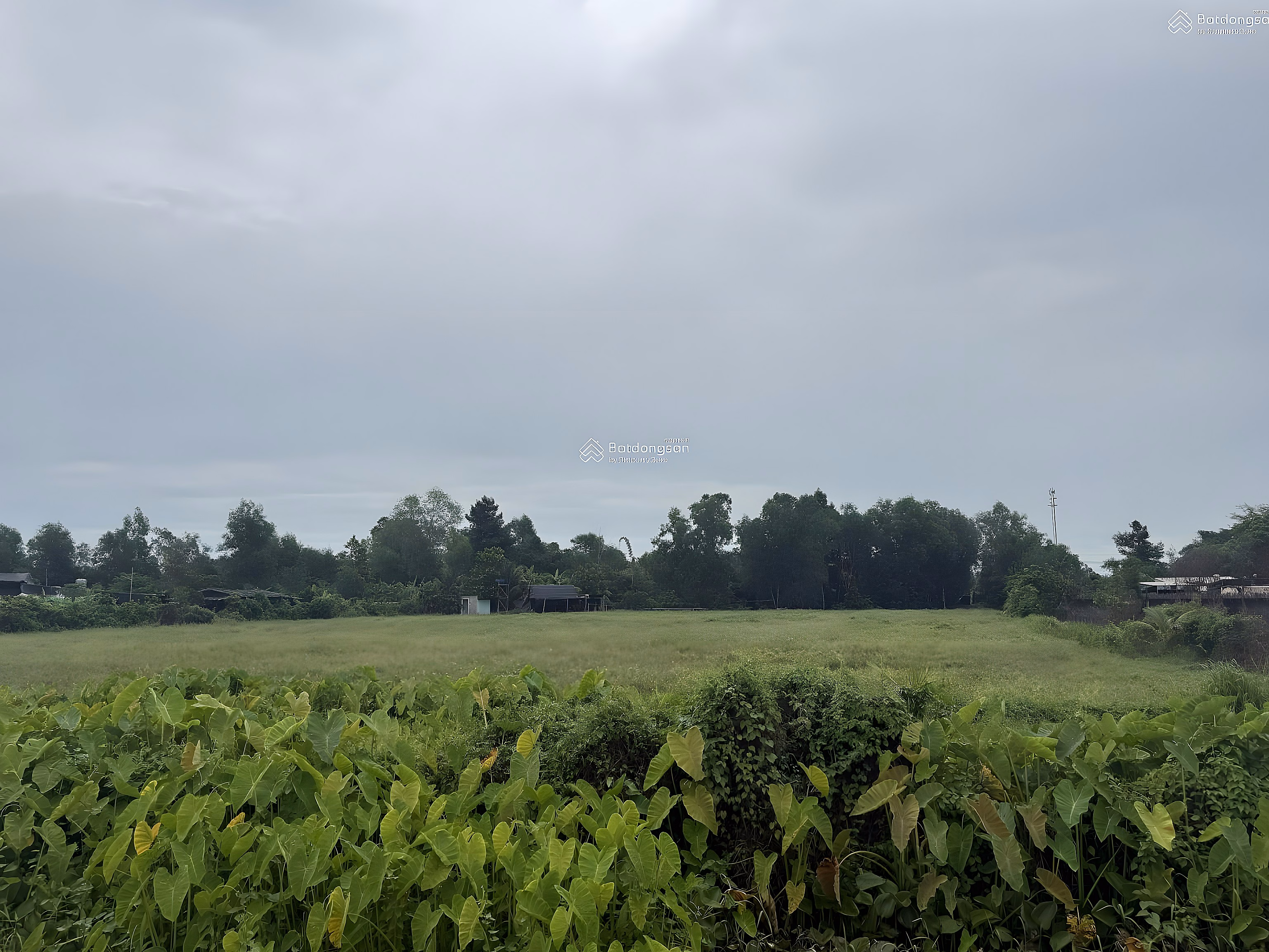 Large land sale 2MT Nhuan Duc Cu Chi | 8,812m² | have residential land | Good price