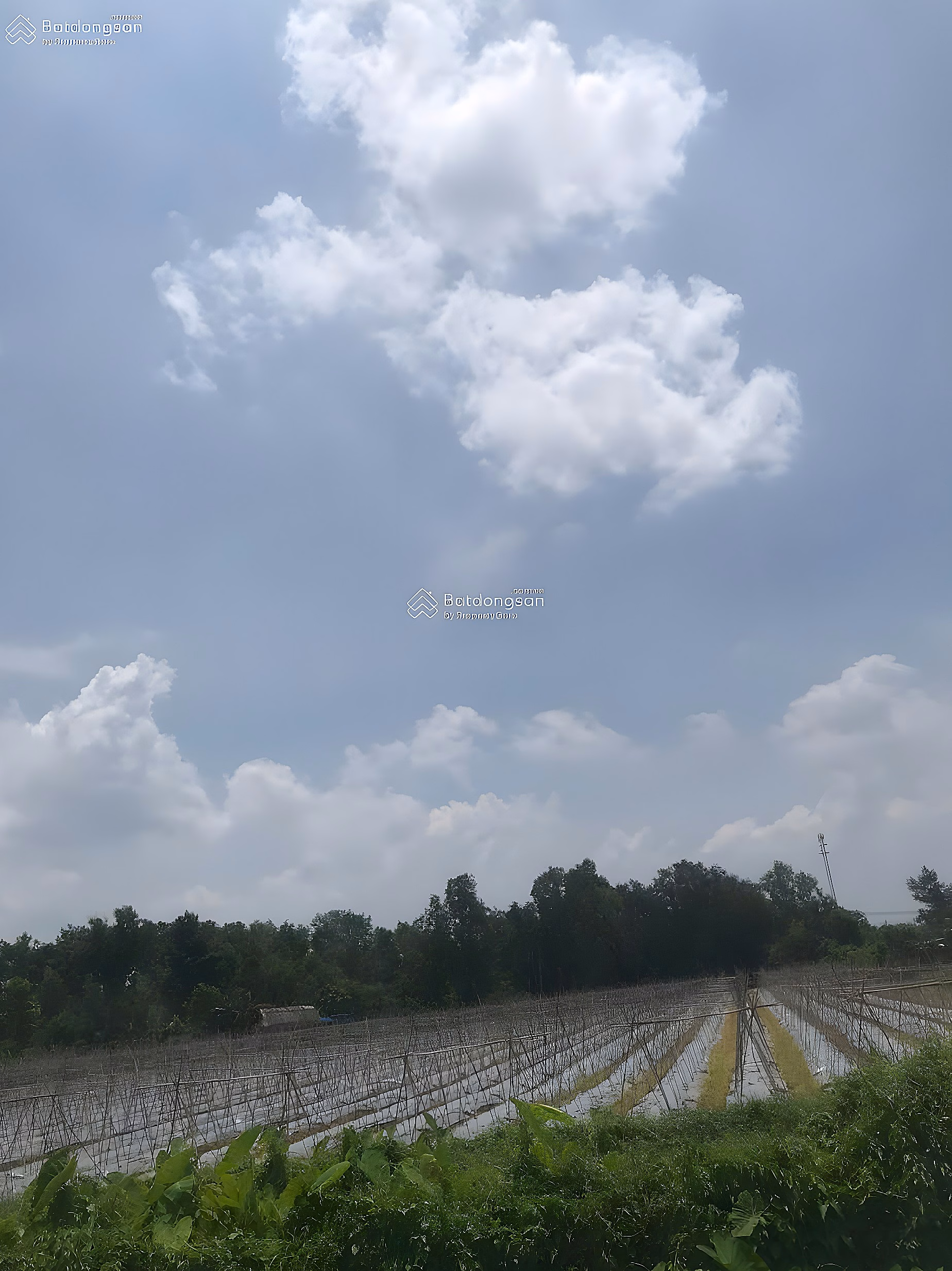 Large land sale 2MT Nhuan Duc Cu Chi | 8,812m² | have residential land | Good price