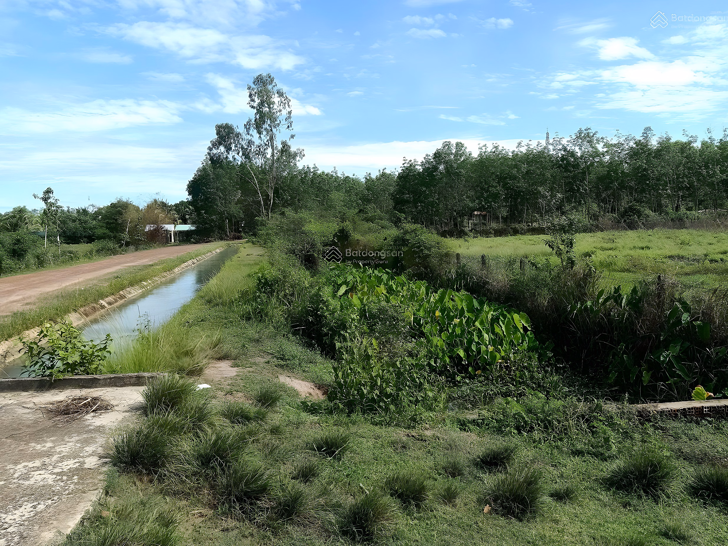 Large land sale 2MT Nhuan Duc Cu Chi | 8,812m² | have residential land | Good price
