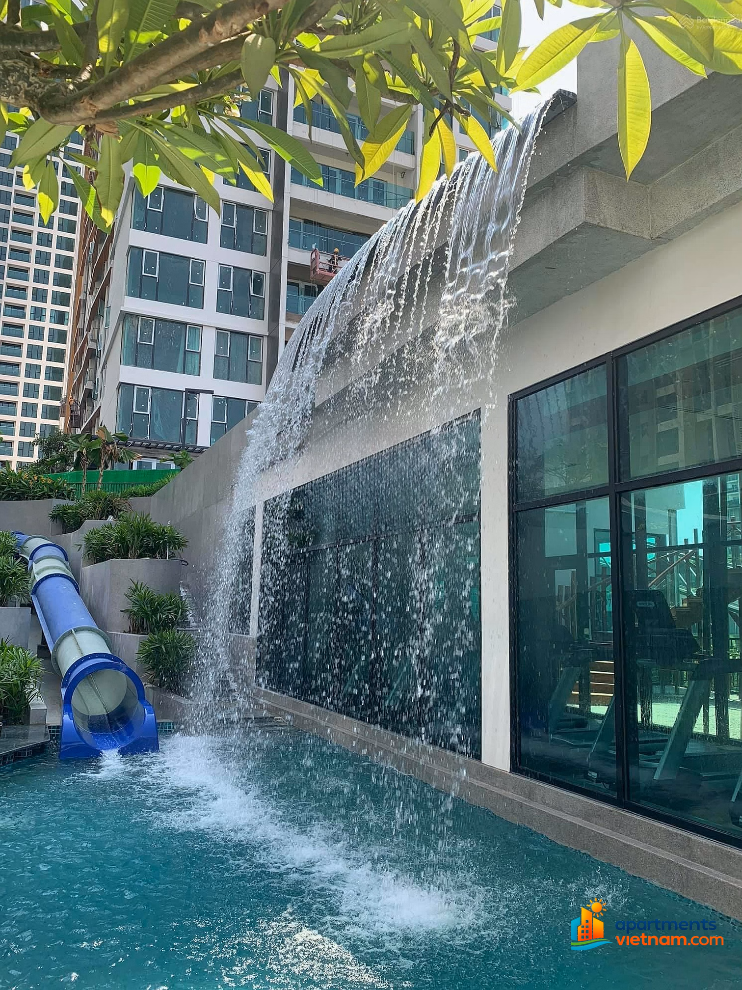 Summary of apartments for sale at Feliz En Vista, accurate information, dedicated advice | Nguyen Loc