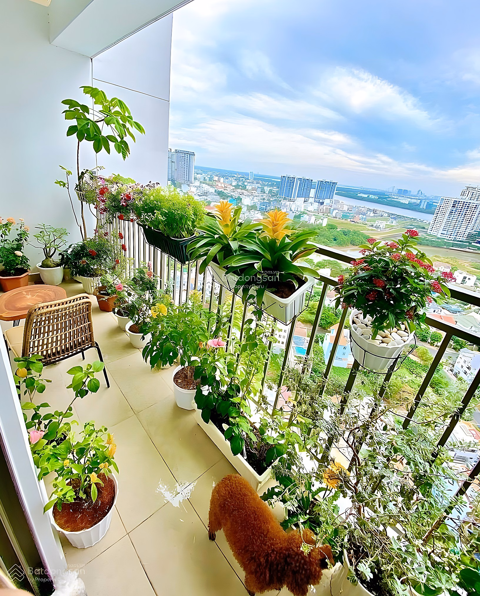 Cart Selling Studio Apartments - 1 Bedroom - 2 Bedrooms - 3 Bedrooms The Sun Avenue Good Prices