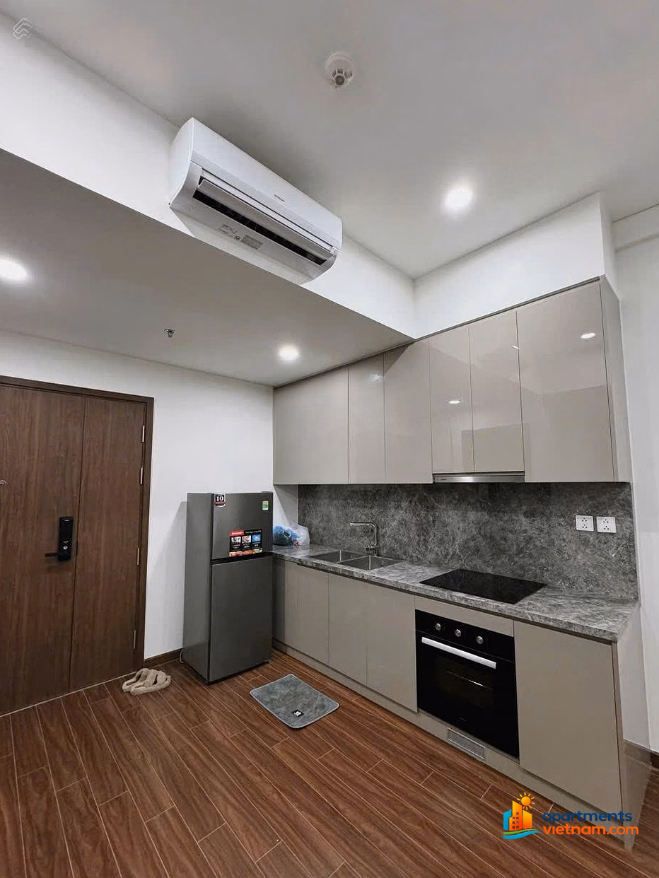 Owner for rent Studio, 1 Bedroom, 2 Bedroom, 3 Bedroom apartment in Vinhomes Ocean Park (free brokerage)