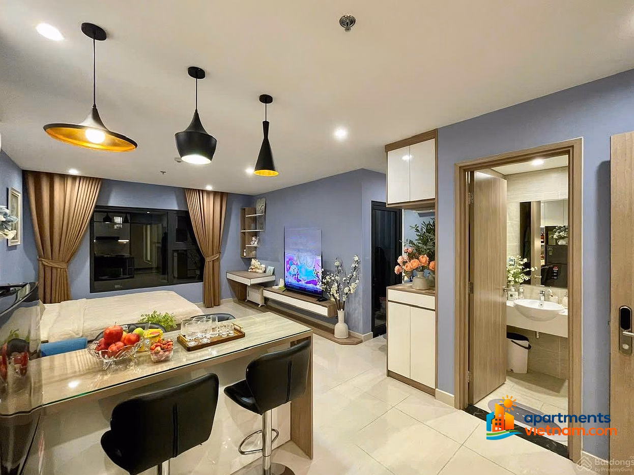 Owner for rent Studio, 1 Bedroom, 2 Bedroom, 3 Bedroom apartment in Vinhomes Ocean Park (free brokerage)