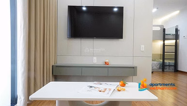 Panoma studio apartment for rent in Sun Cosmo Tran Thi Ly project, fully furnished apartment