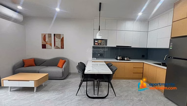 Panoma studio apartment for rent in Sun Cosmo Tran Thi Ly project, fully furnished apartment