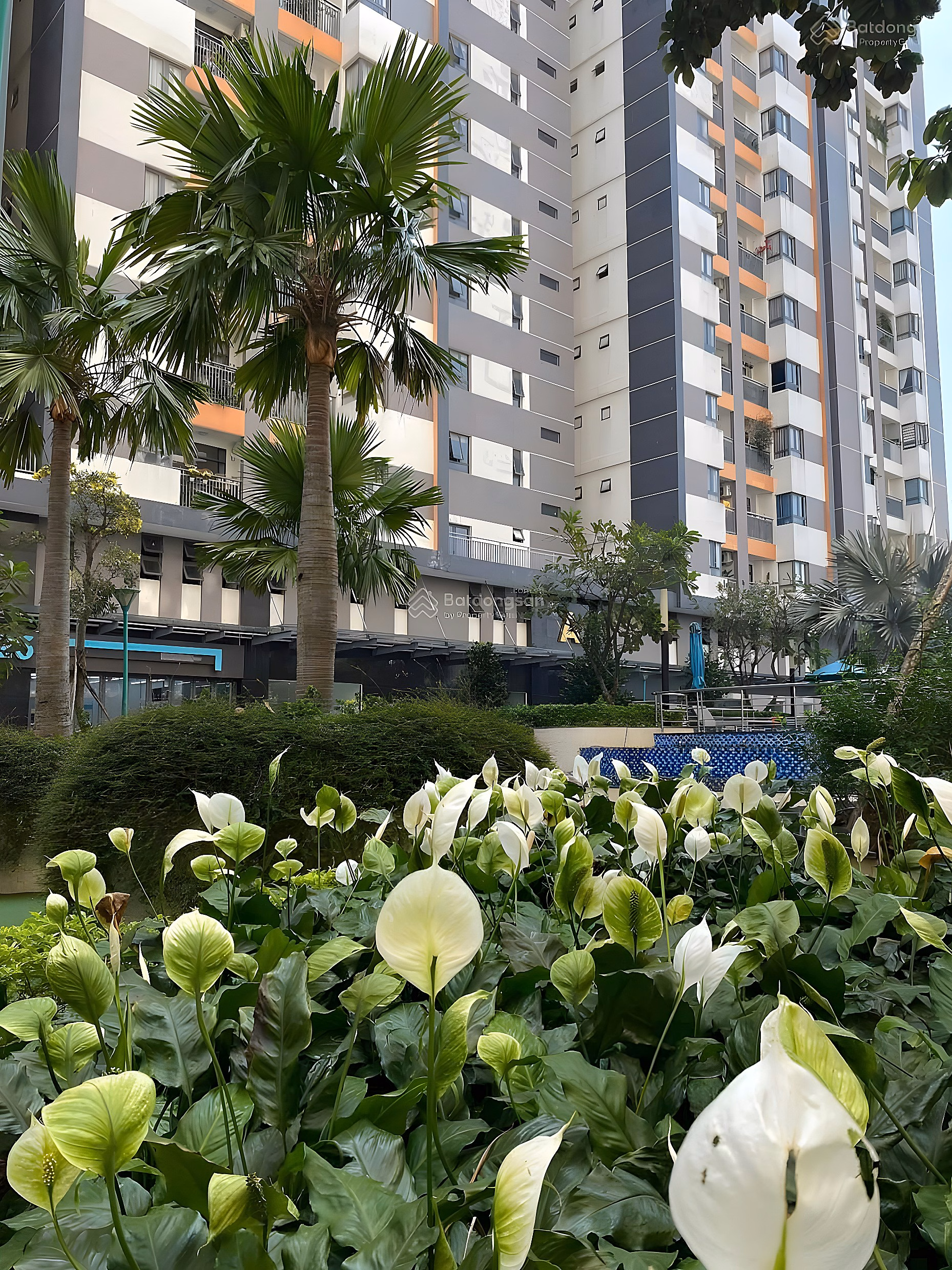 Him Lam Phu An apartment for sale with pool view - pink book - 70m2 - Call Thao 0776 943 ***