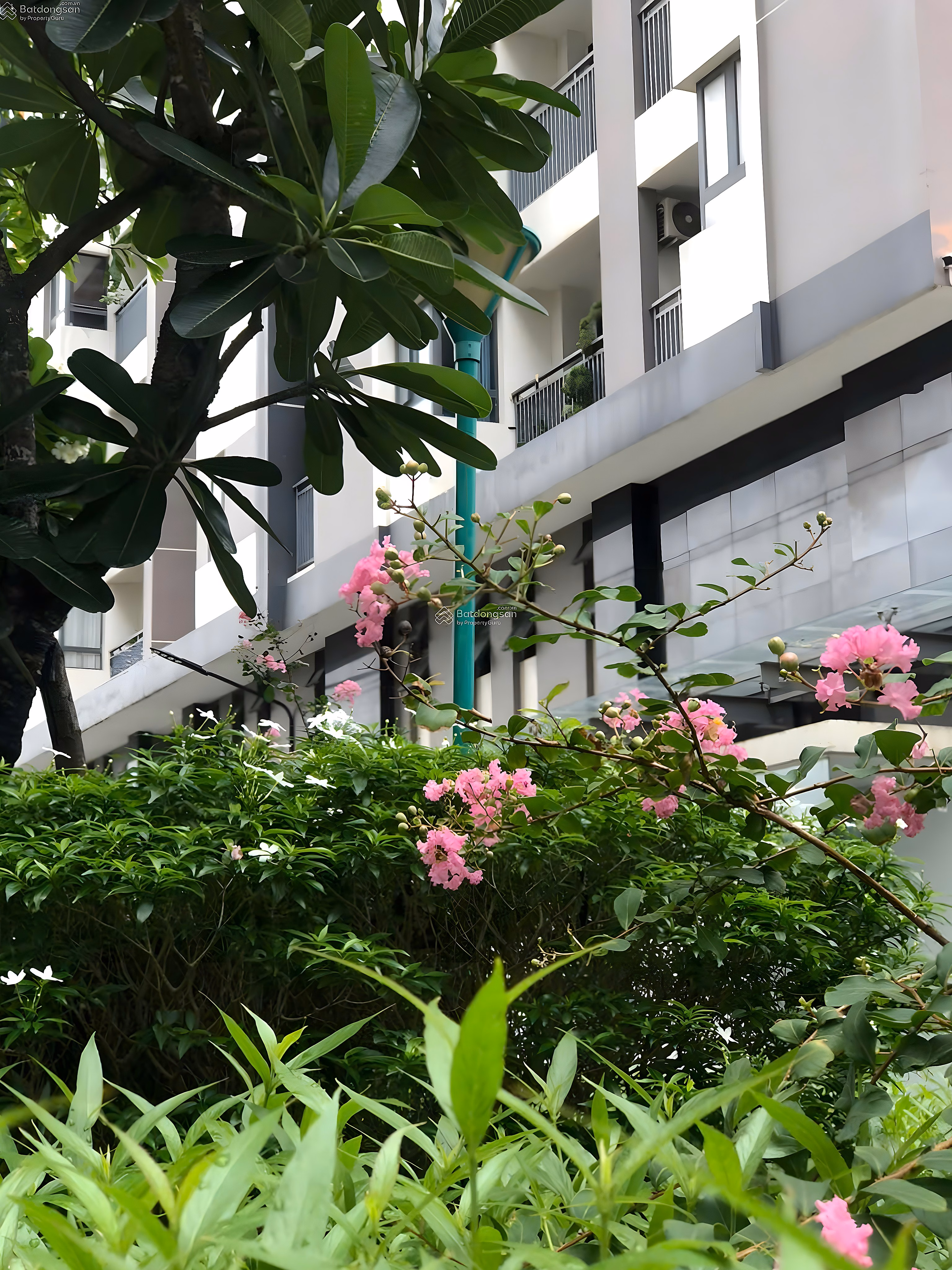 Him Lam Phu An apartment for sale with pool view - pink book - 70m2 - Call Thao 0776 943 ***