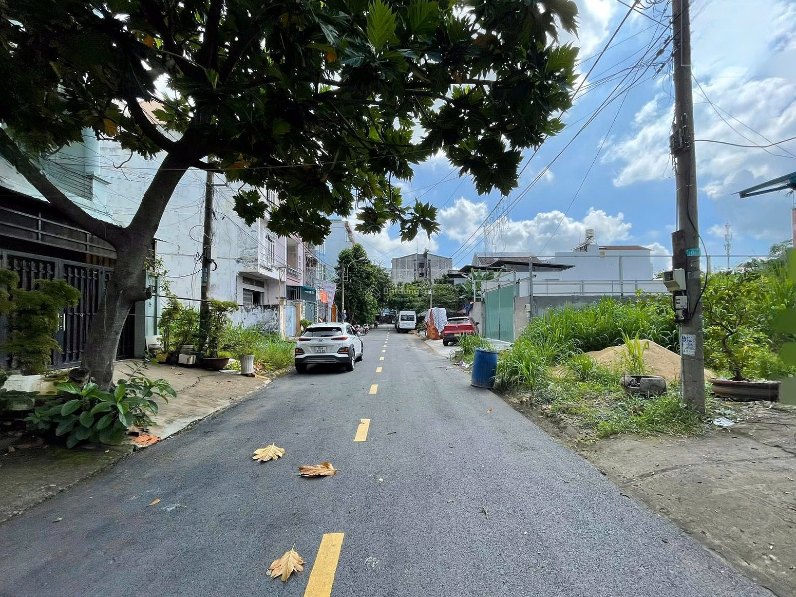 Confused to sell land in Muoi Mau area, area 100m² (5x20) square facing south, 12m road and sidewalk, priced at 11.5 billion