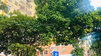 Apartment for sale at Alley 100 Hoang Quoc Viet, Nghia Do. Hanoi, 3rd Floor, 6-Story Building, Stairs