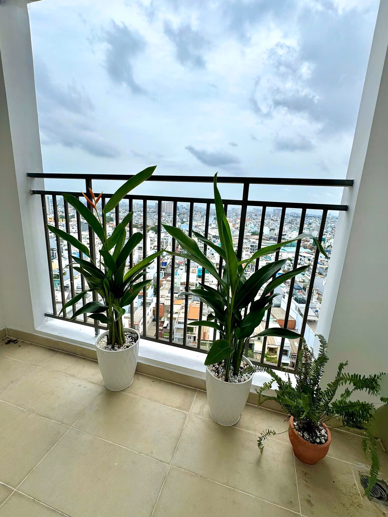 Full shopping cart of houses for sale at RichStar, beautiful, cheap, fully furnished - working for the owner - viewing the house 24/7