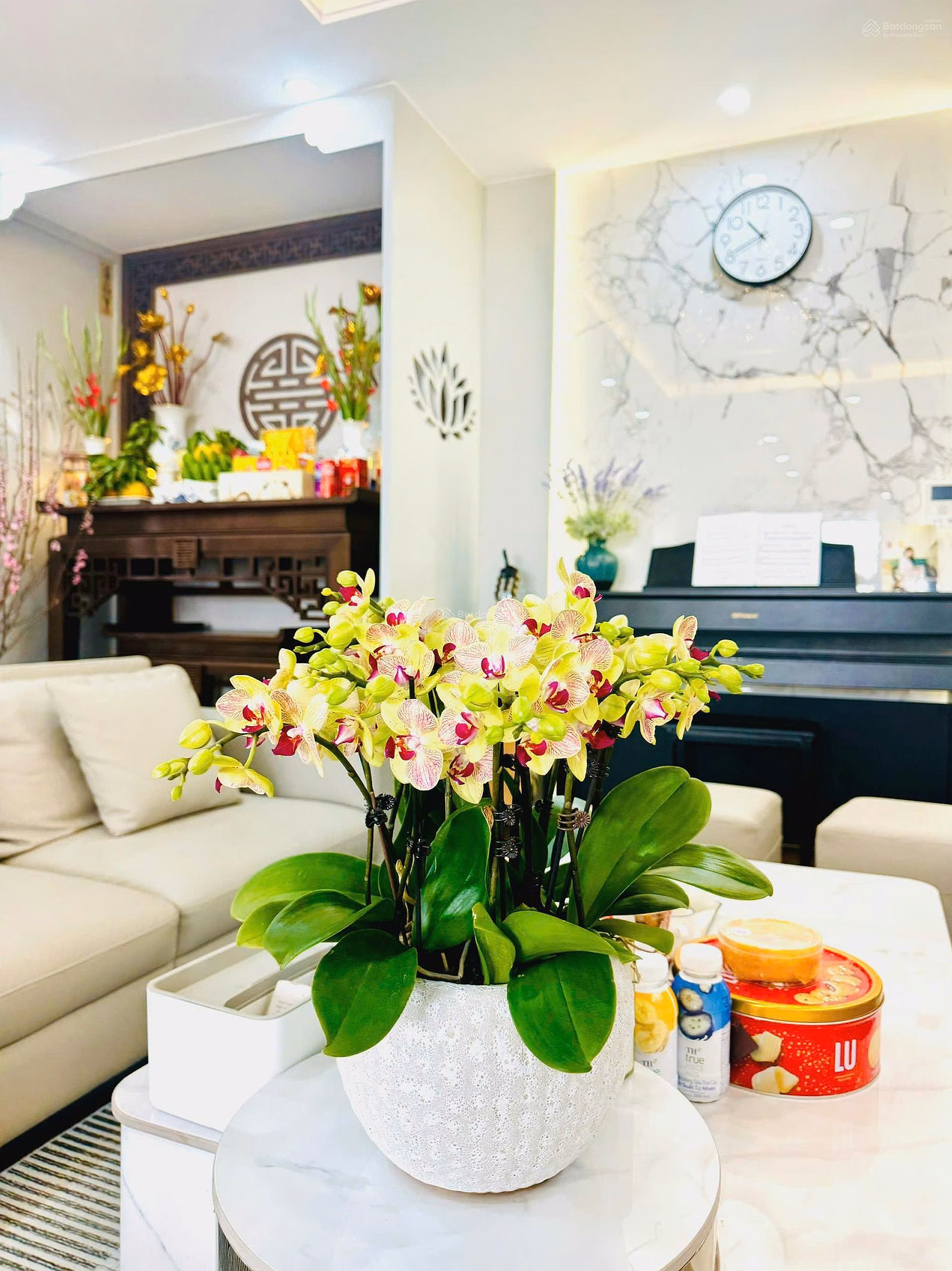 (Real photo - real price). The owner needs to transfer apartment N05 Hoang Dao Thuy