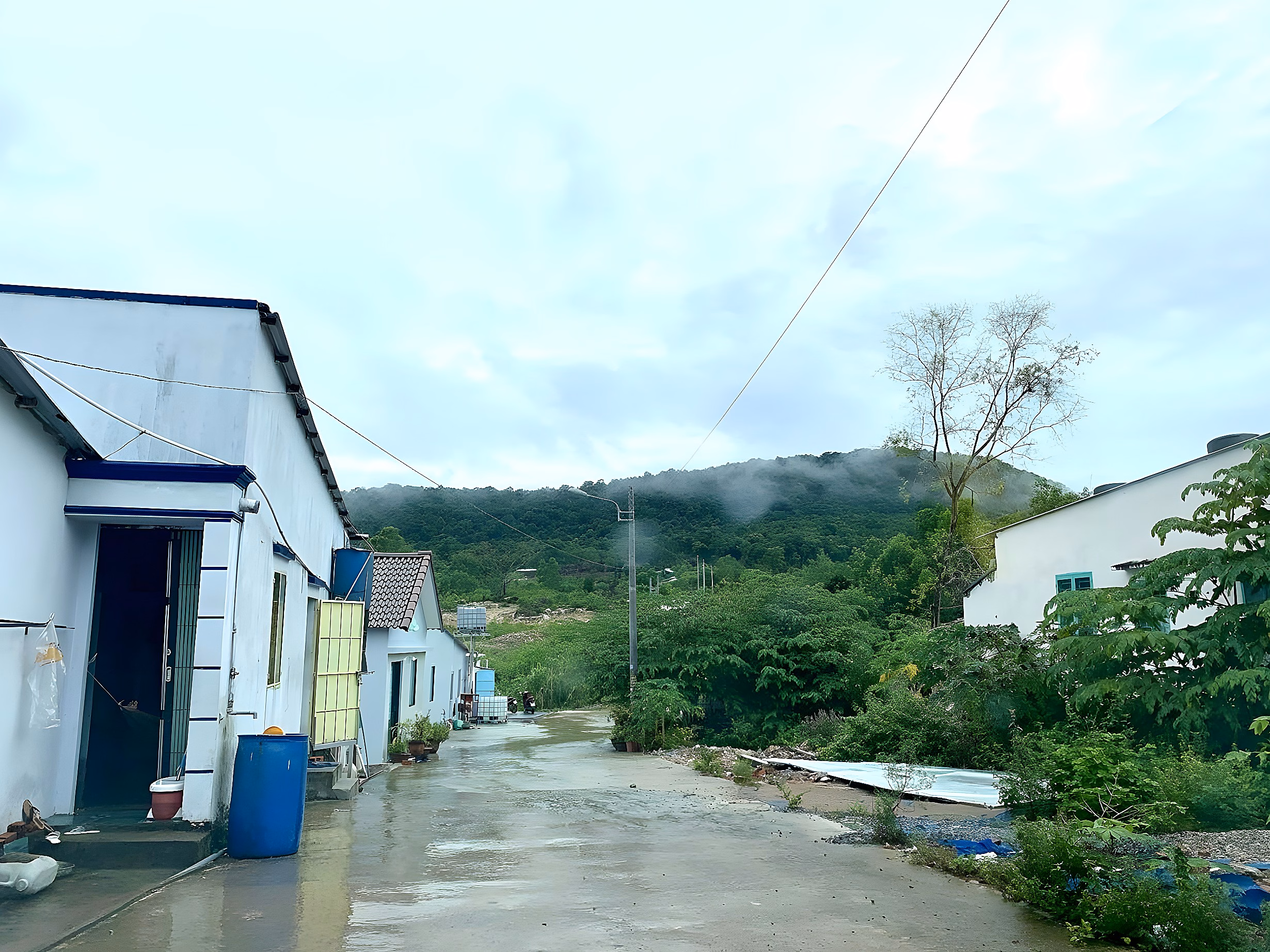 Selling residential land with an area of ​​1000m2 in Phu Quoc area