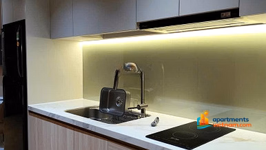 Apartment for rent 1 bedroom + Panoma 1 fully furnished with Han river view