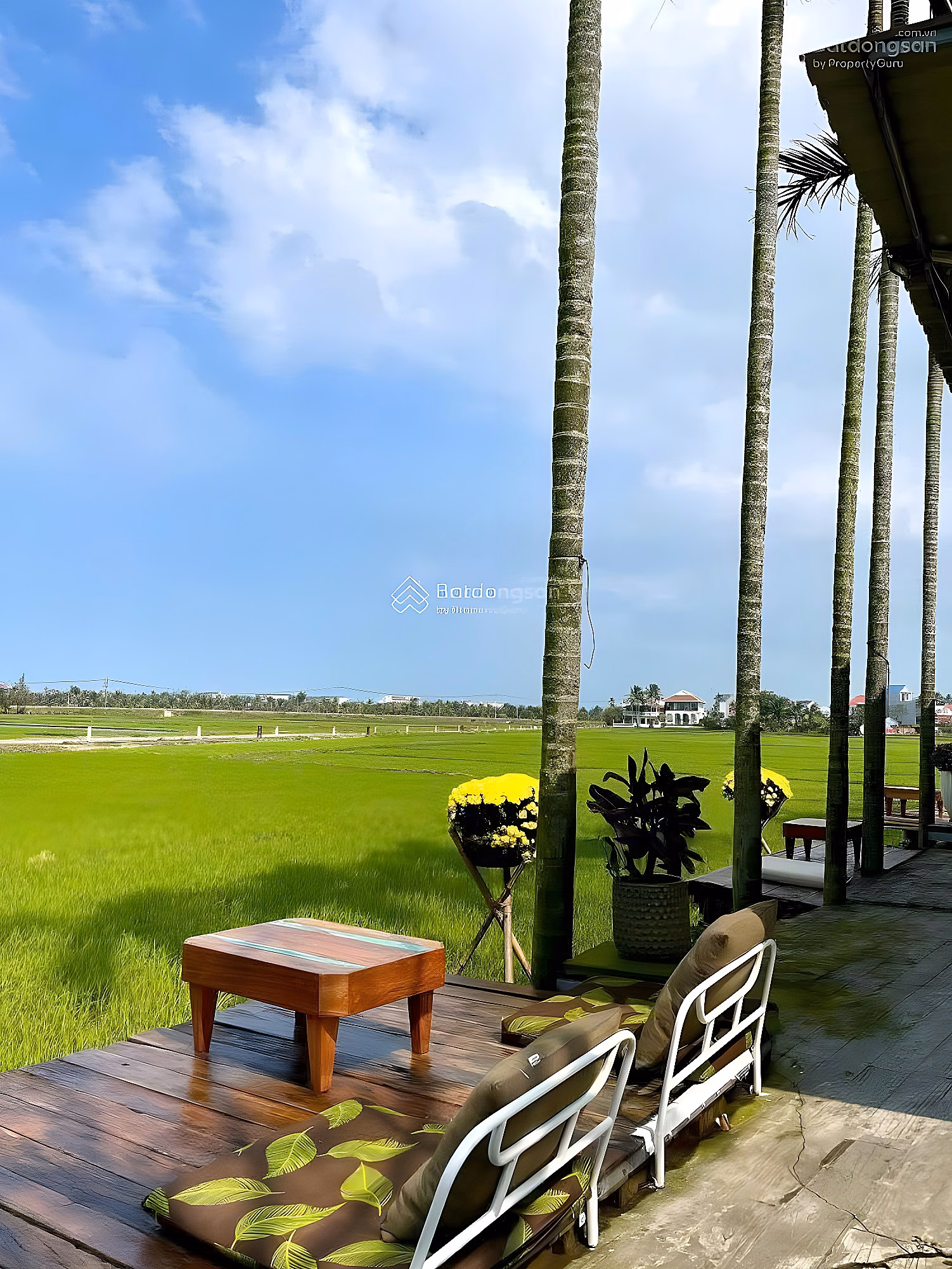 Rare product, view of rice fields in front of Le Thanh Tong, fertile land, most beautiful location in the area