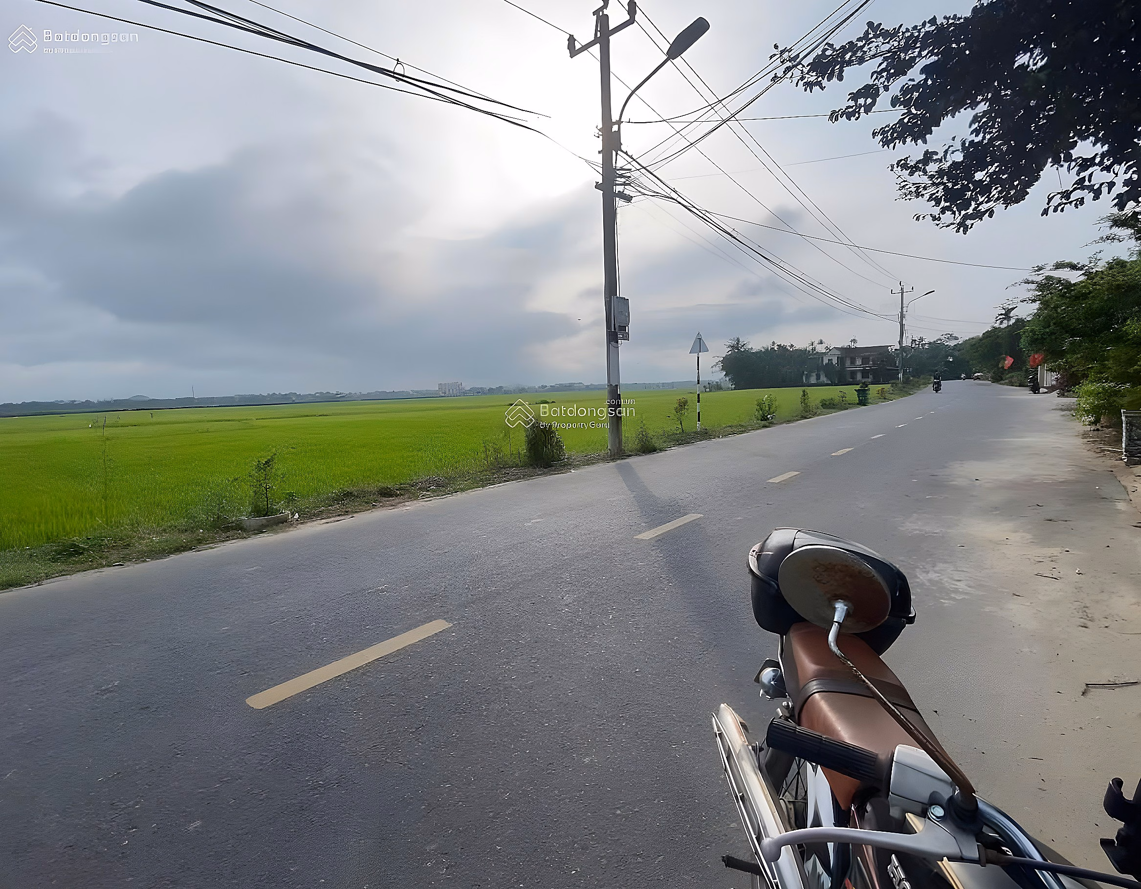 Rare product, view of rice fields in front of Le Thanh Tong, fertile land, most beautiful location in the area