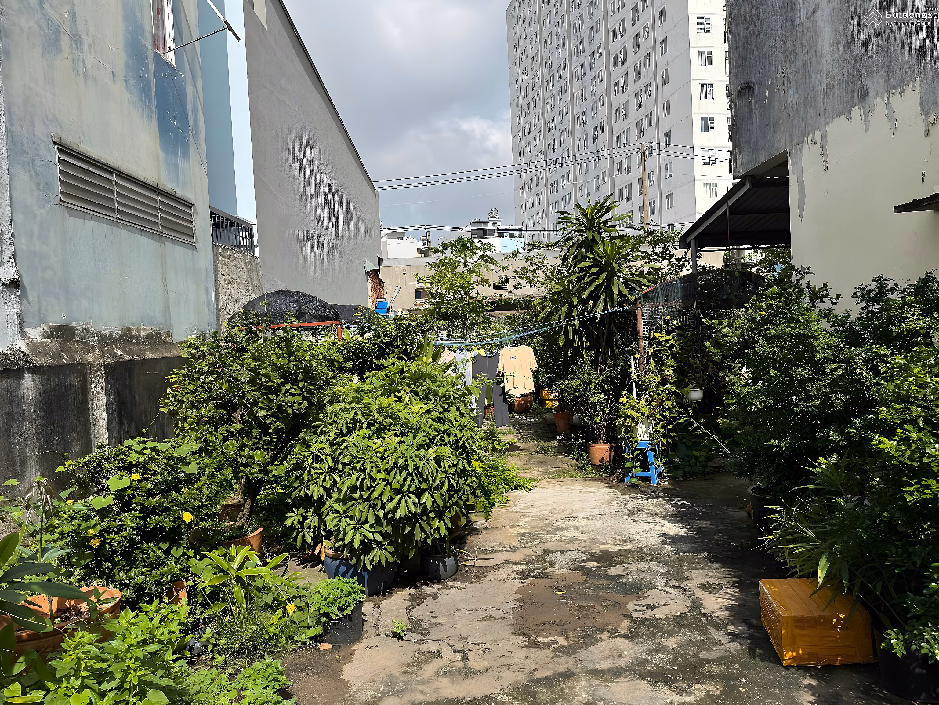 Land for sale in Binh Long, 32 billion, 278.8 m², super bargain price for investment opportunity