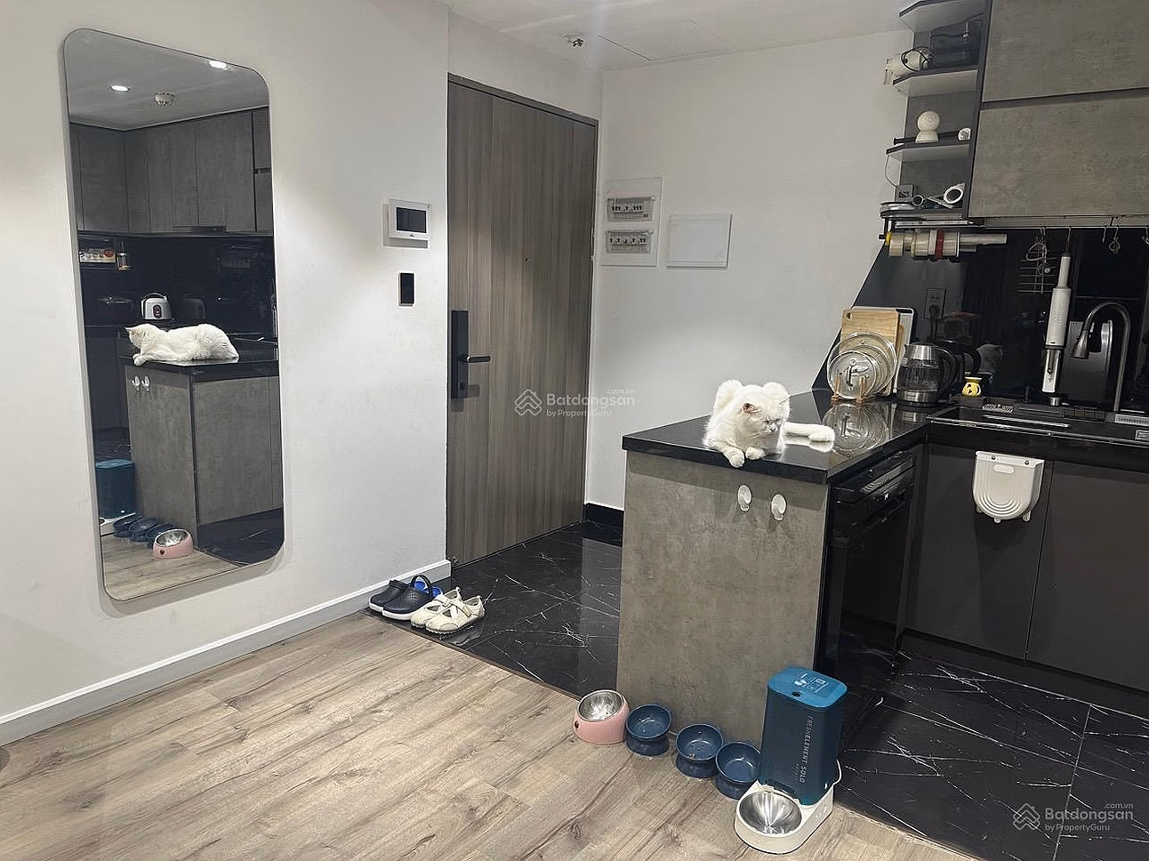 Hot item! Saigon South Residences 2 bedroom apartment for urgent sale, beautiful house, best guaranteed price on the market