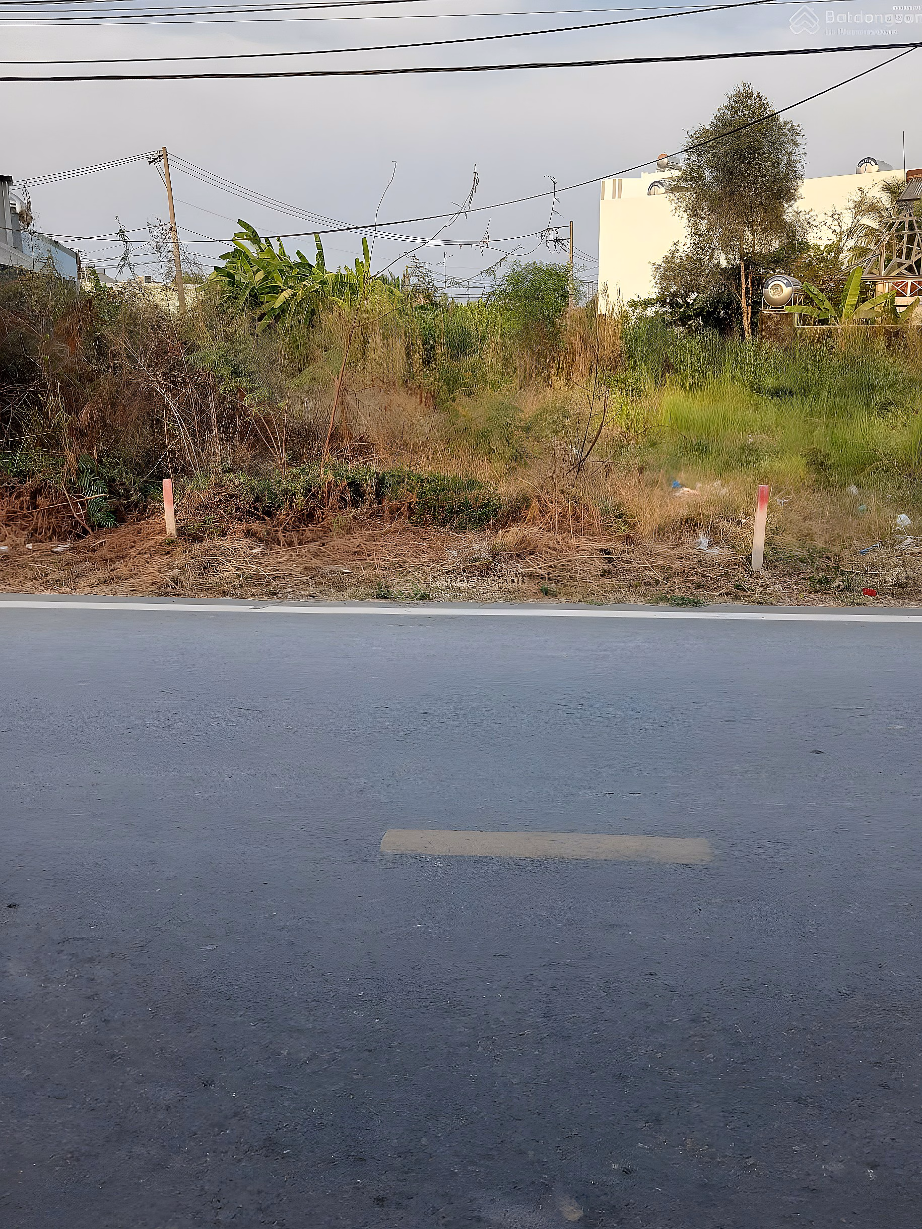 Rare: 156m of land facing Bung Ong Thoan, near Global City