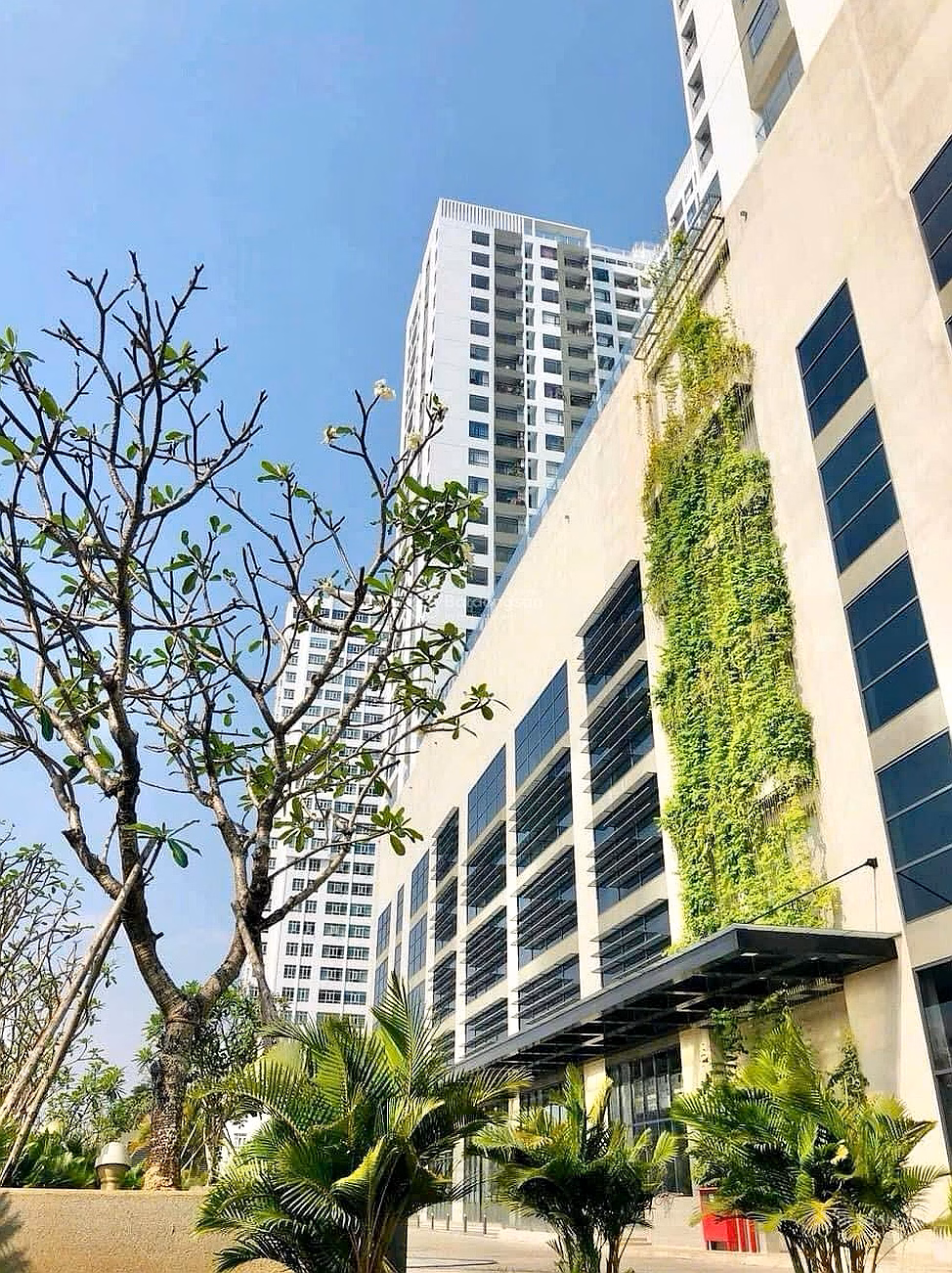 Central Premium officetel apartment for rent on Ta Quang Buu street, Ward 5, District 8***