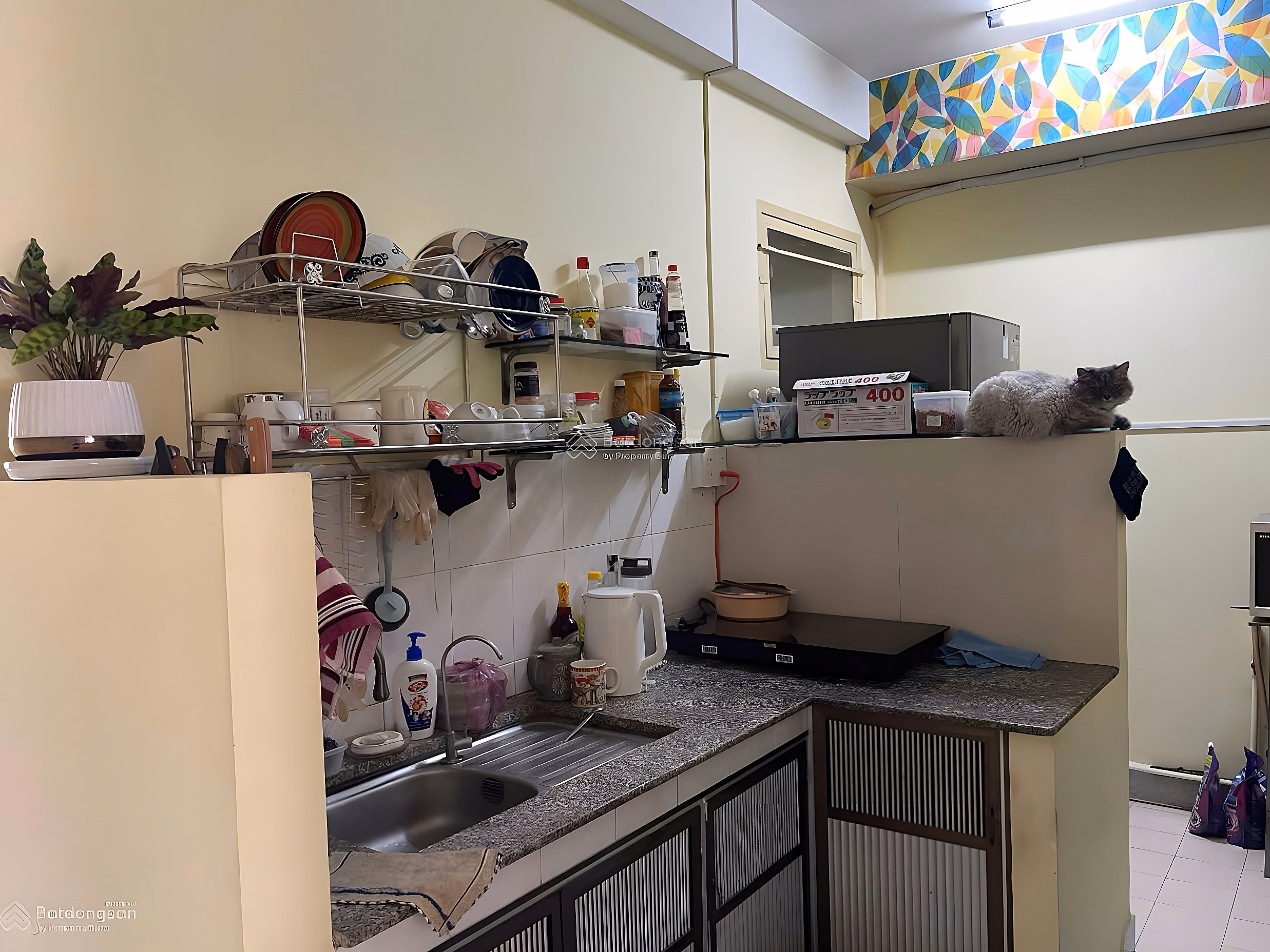 Cho Dam apartment for sale with beautiful, high quality furniture, long-term red book located right in the center of Nha Trang city