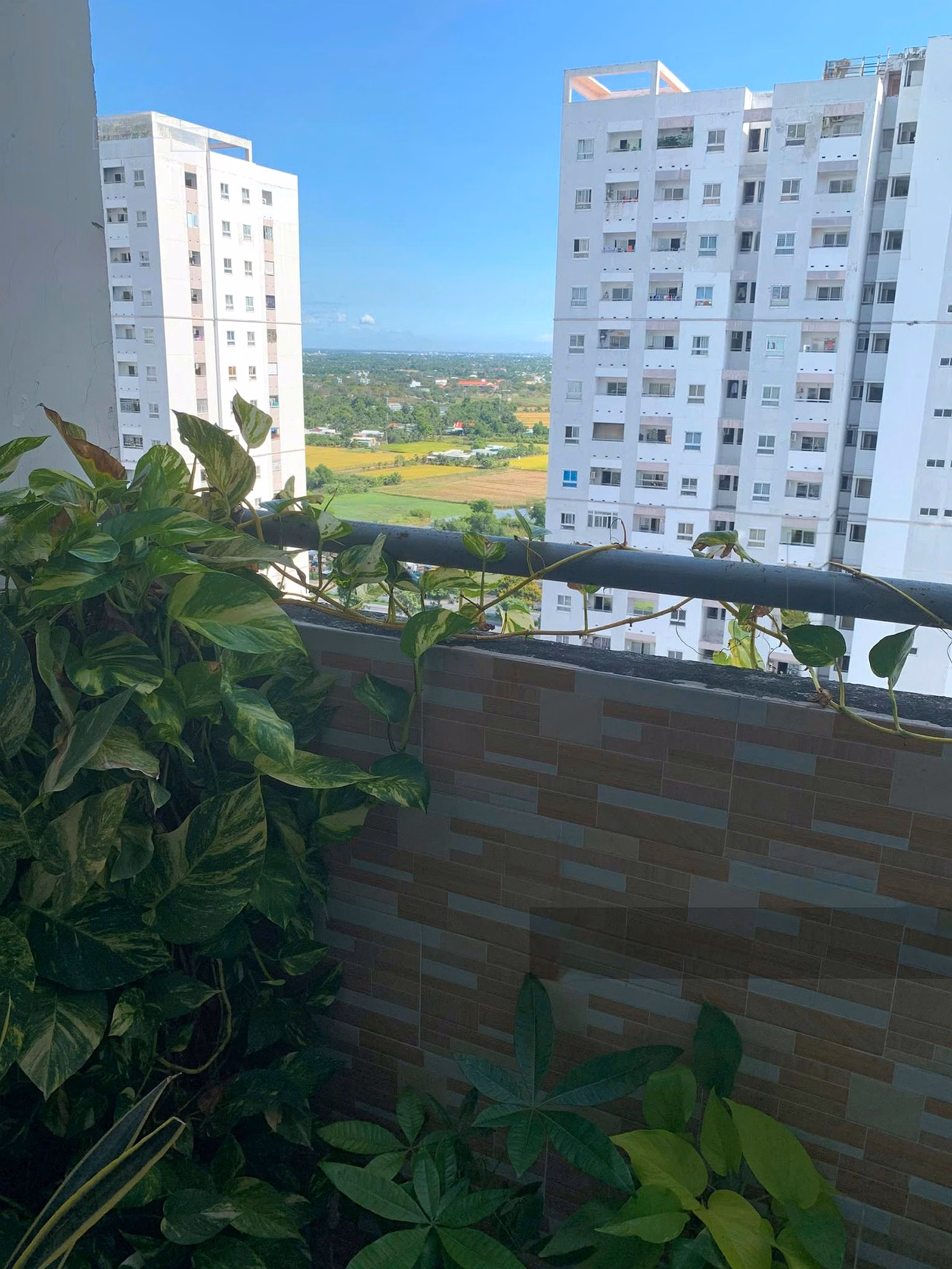 The owner sent the HQC apartment for sale with a 5-year-old book, and the 9th floor was notarized immediately***