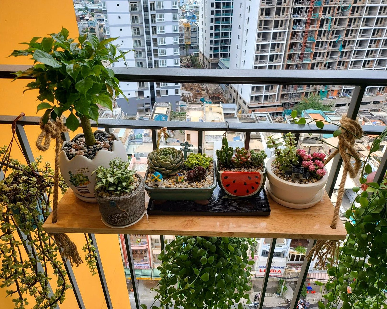Beautifully designed 1-bedroom Asiana Capella apartment for sale - only 1 unit