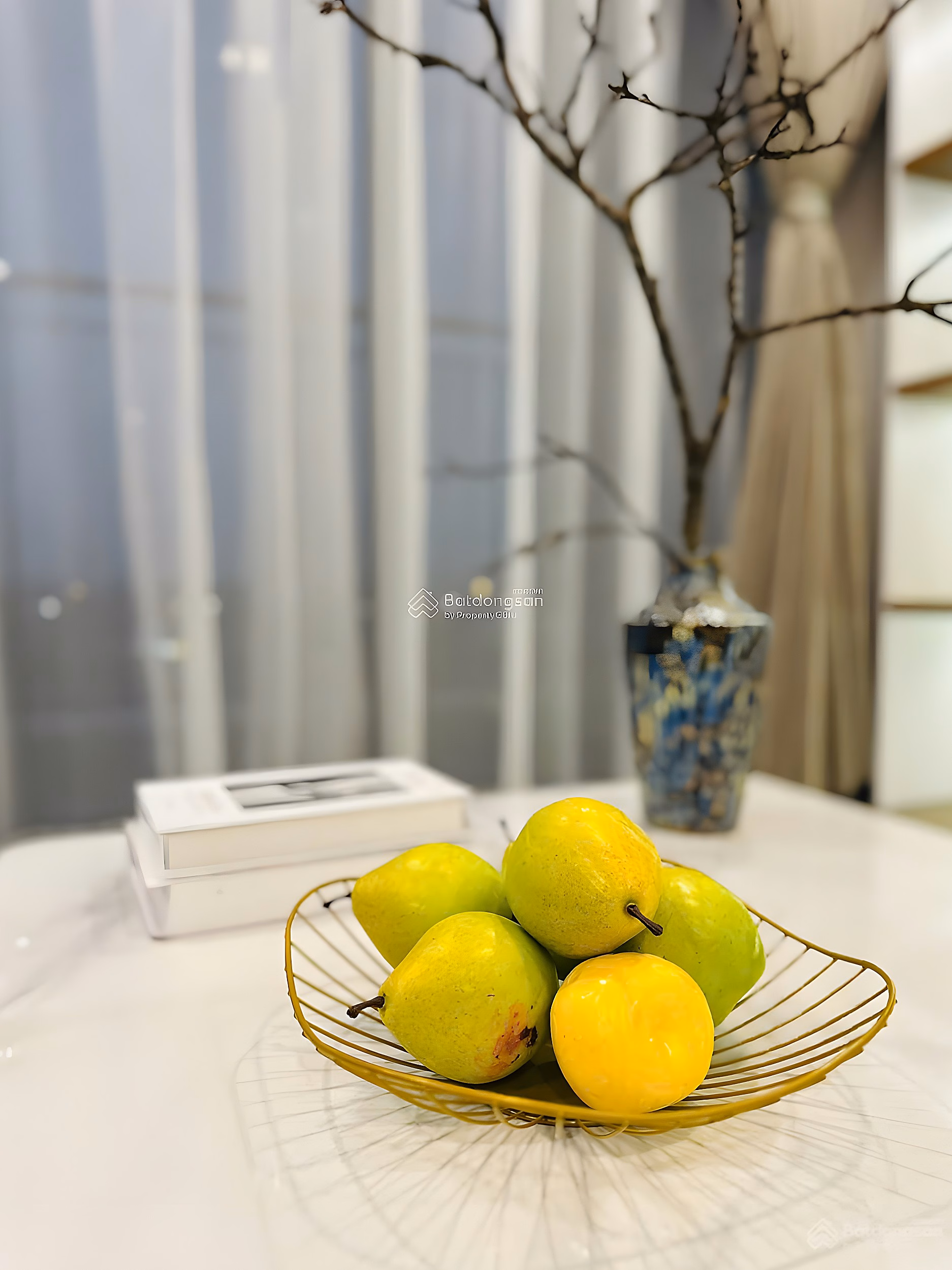 Apartment transfer fund reduced by 300 million June 2026, 80% loan support at Vinhomes Ocean Park 1 Gia Lam