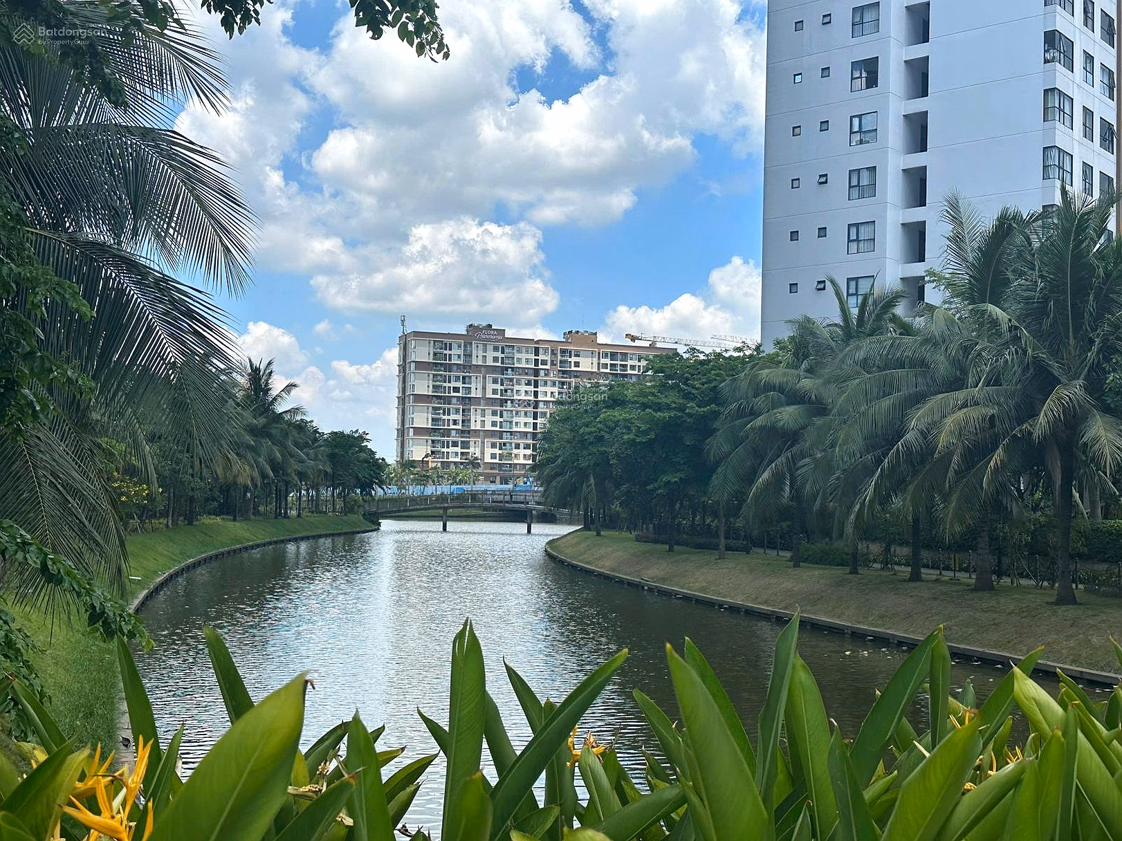 Cart F0 beautiful location tower 1 and tower 2 Trellia Cove, accepting bookings for tower 3 starting May 25, 2026