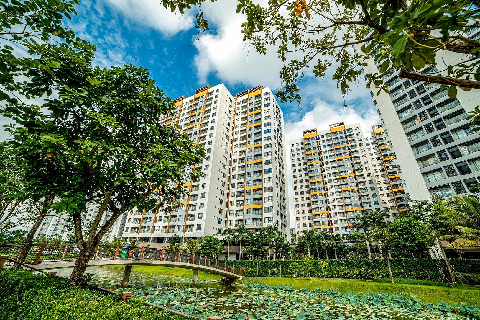 Mizuki Park - River view apartment 5.69 billion 81m2 Trellia Cove directly from Nam Long investor, securities up to 10.5%