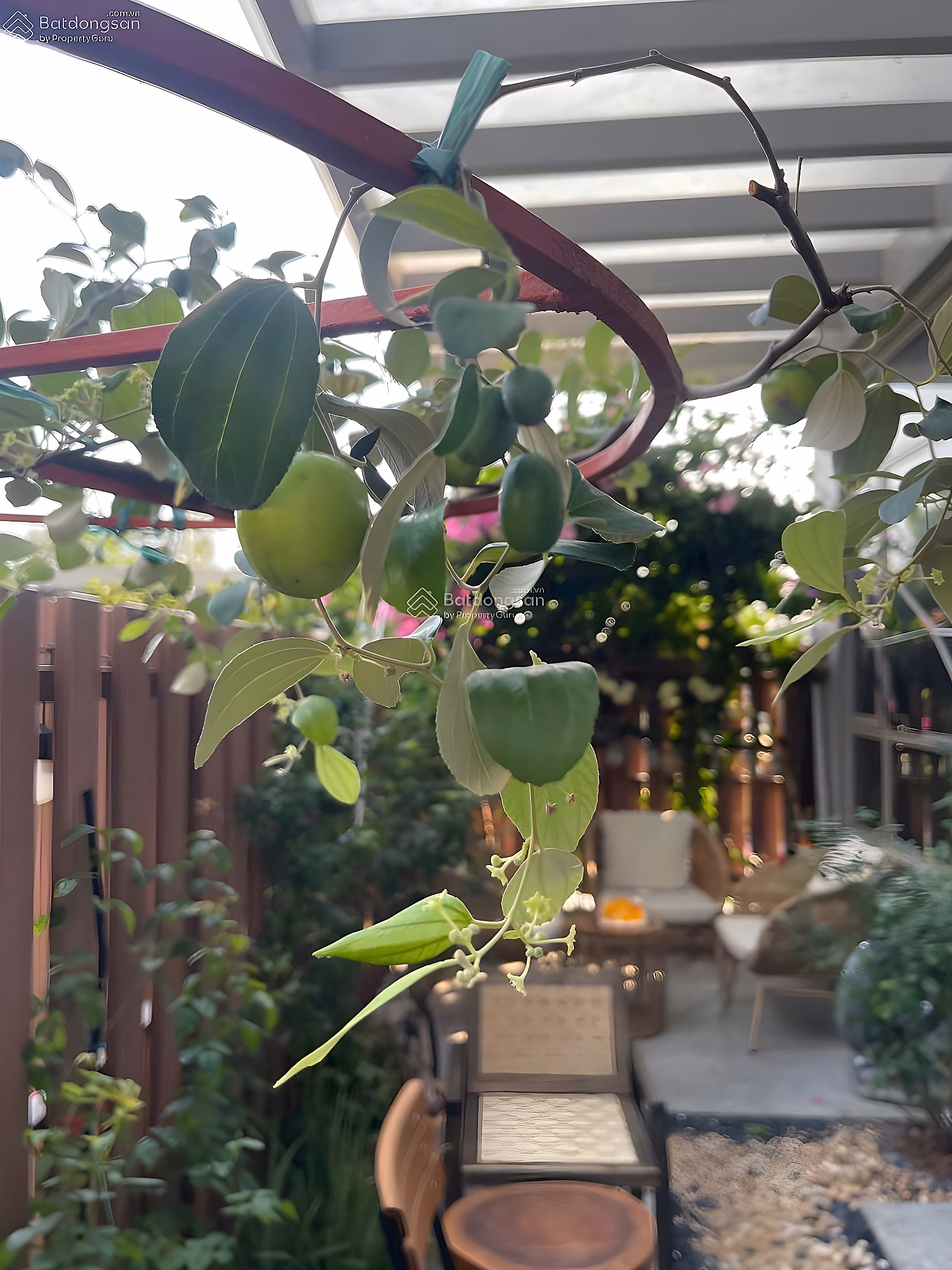 Excellent beautiful Garden CC for rent at Celesta Rise, 35 million, 89m2, 2 bedrooms, 2 bathrooms