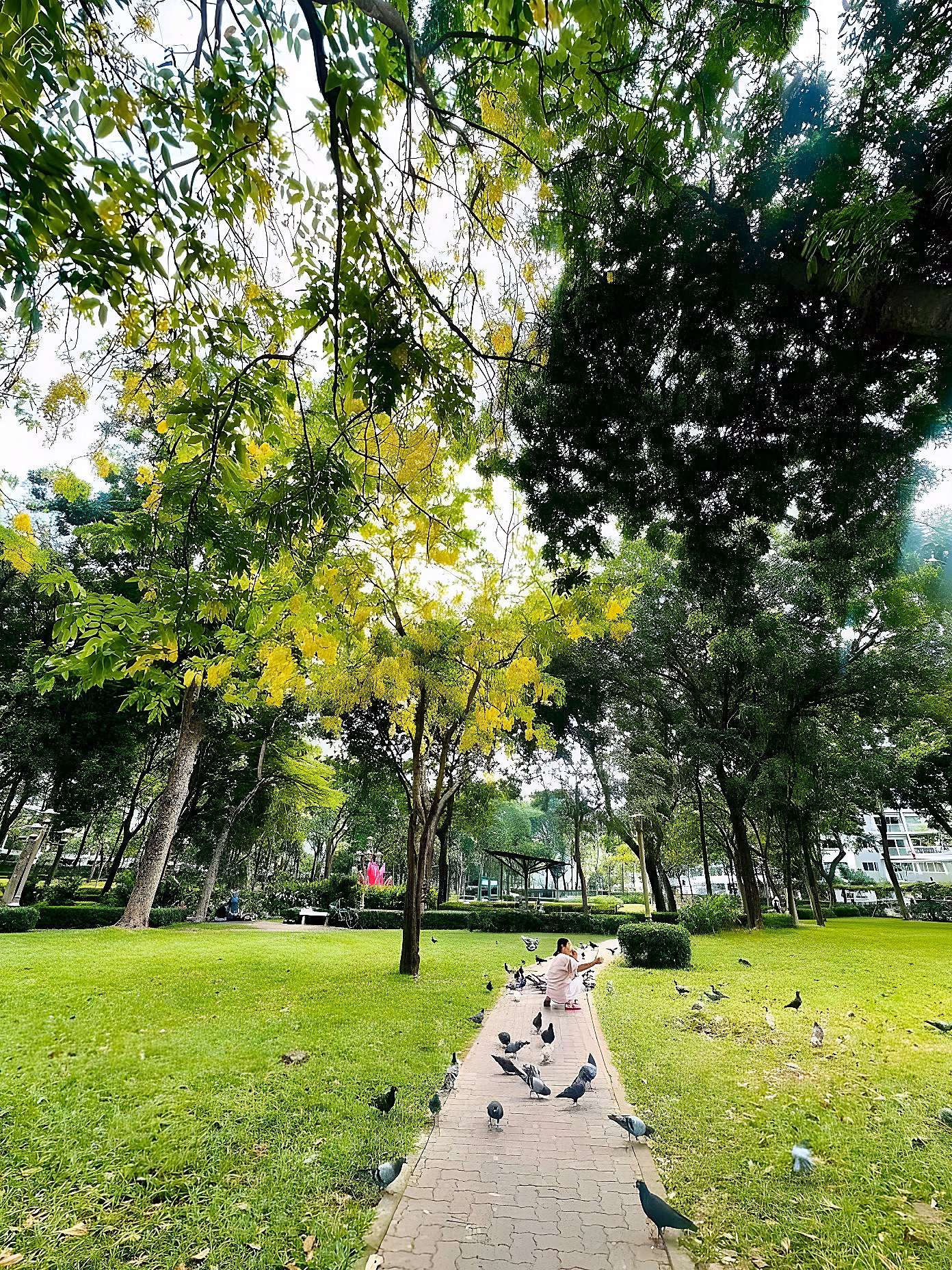 Apartment for rent at Emerald - Celadon City, 10.5 million VND, 55m2, 1 bedroom, 1 bathroom