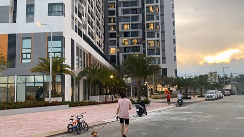 1 bedroom + 1 fully furnished apartment for rent, bring your suitcase to move in, new house, move in immediately, beautiful view on high floor