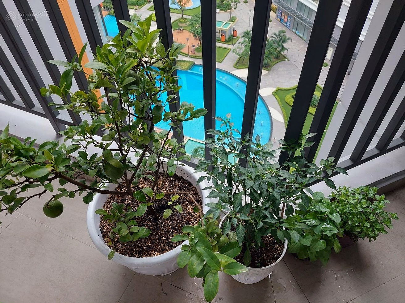 Quick sale of Safira Khang Dien apartment 2 bedrooms 2 bathrooms, beautiful floor, shocking price 4.25 billion - Red book ready