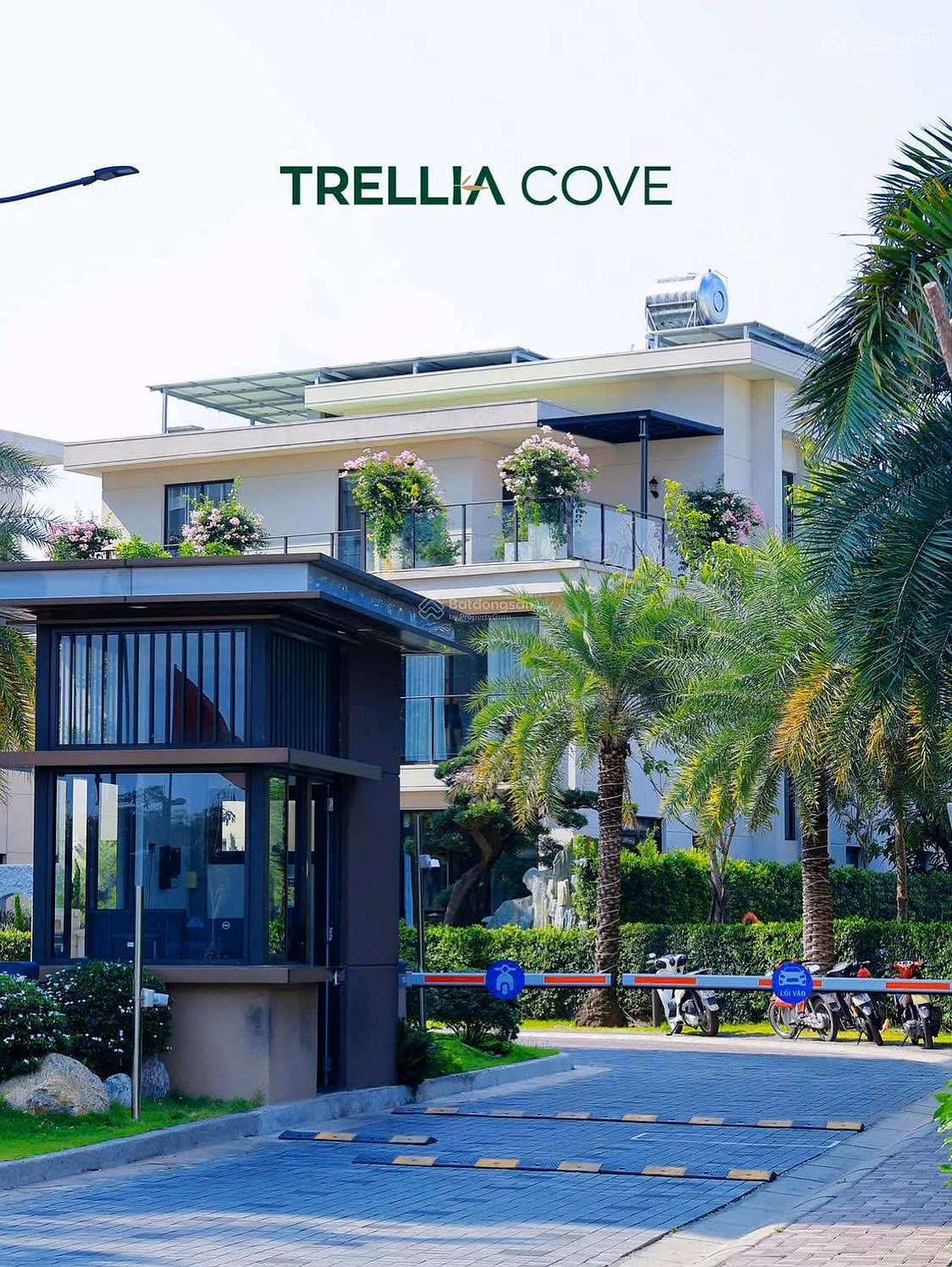 Trellia Cove Shopping Cart Directly Investor 2 bedrooms 61m2 only 4 billion - payment according to schedule 0.5%/month, deposit 15.5%
