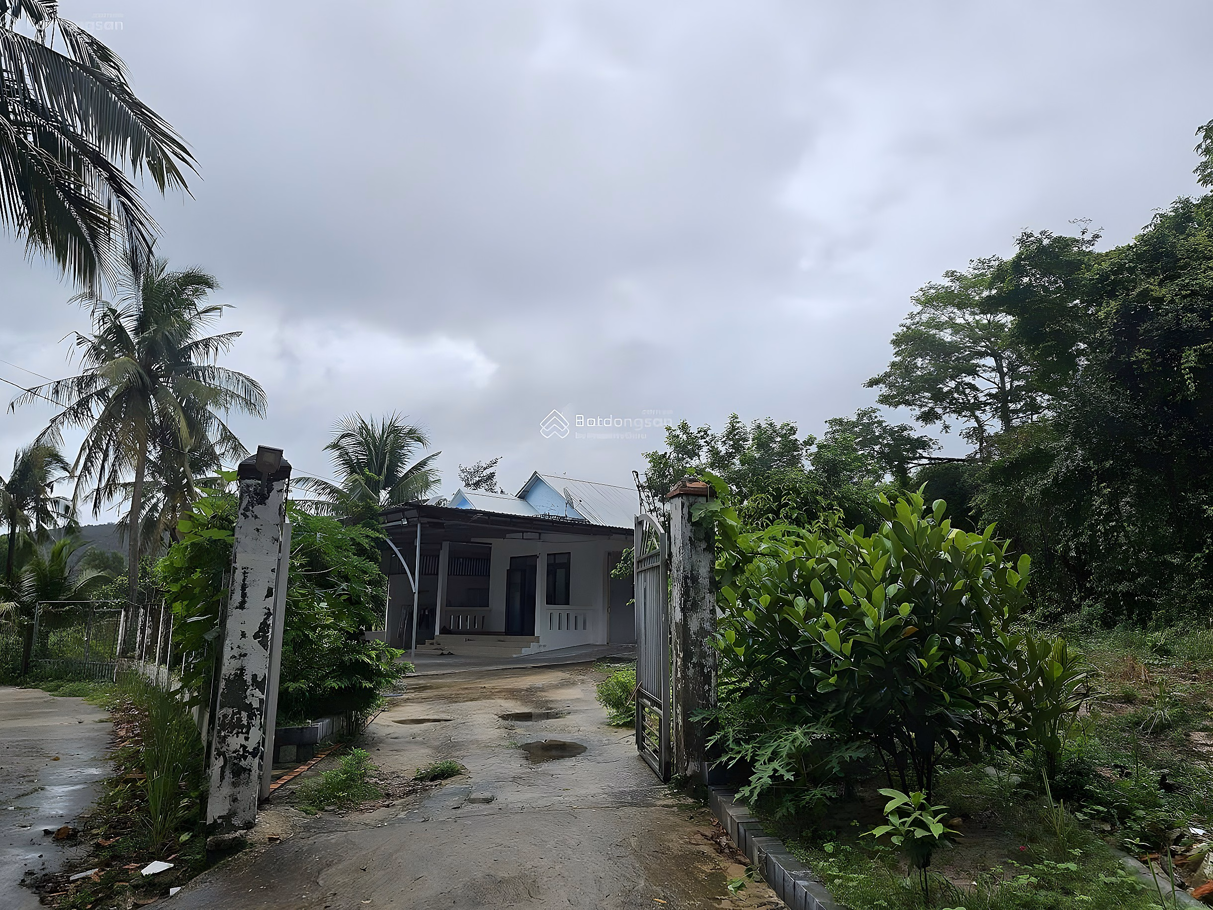 Urgent sale NR 508m2 in Suoi Da Quarter, Duong To, Phu Quoc, 4 billion VND