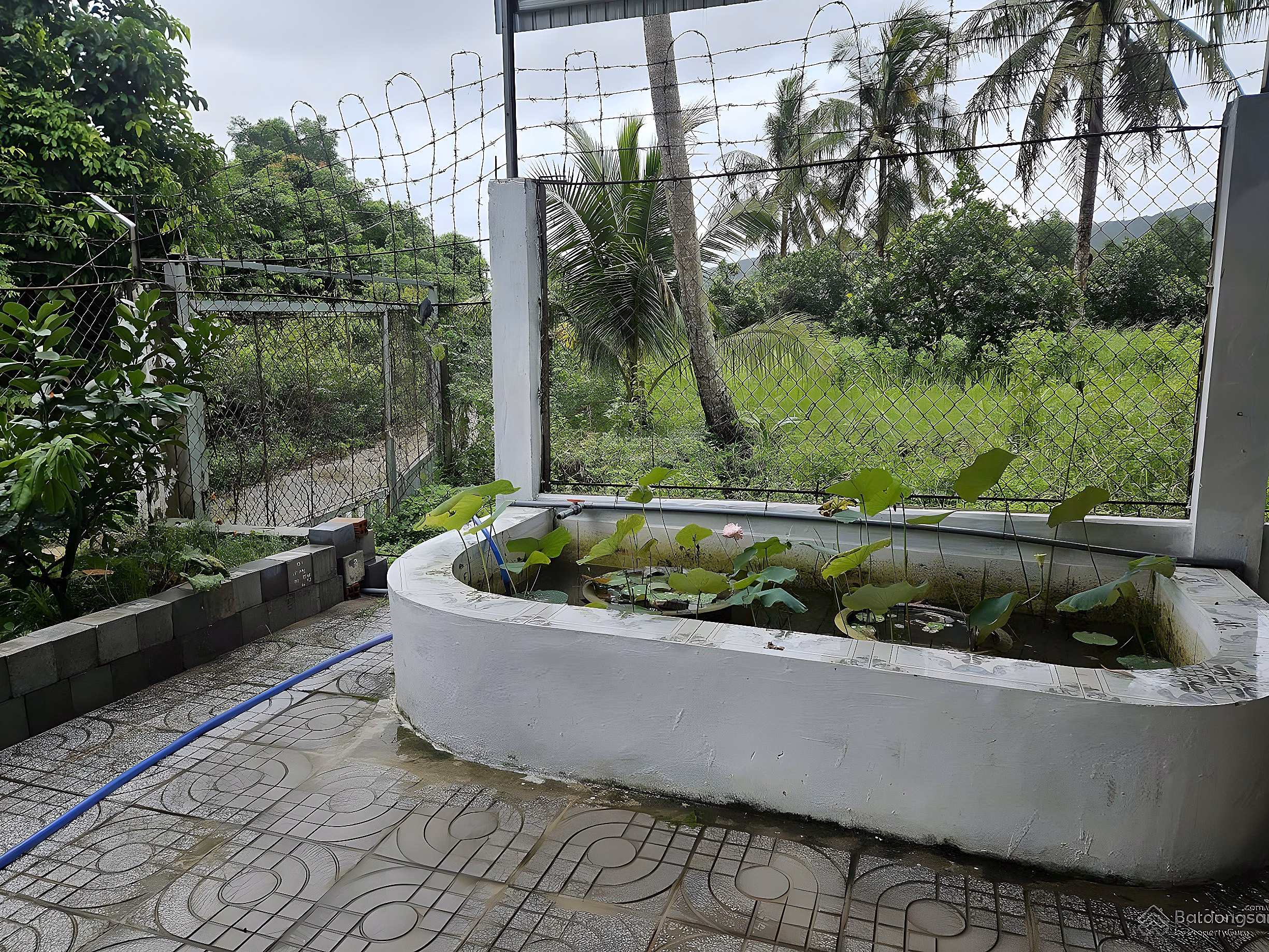 Urgent sale NR 508m2 in Suoi Da Quarter, Duong To, Phu Quoc, 4 billion VND