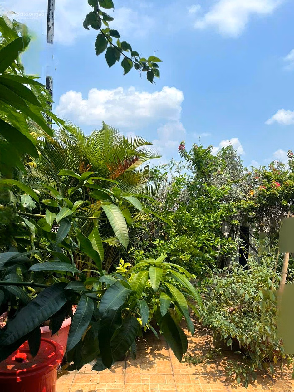Penthouse for rent with 5 bedrooms, 5 bathrooms, 360m2 in New Saigon - Hoang Anh Gia Lai 3