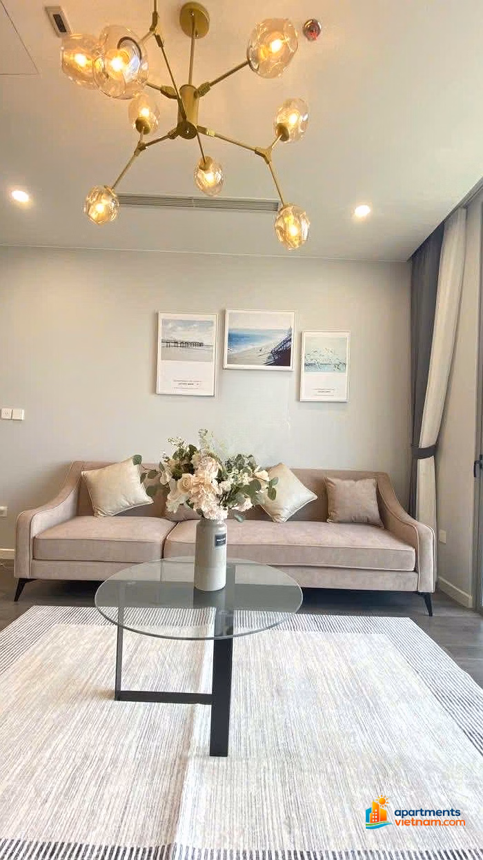 (Apartment fund) 2-bedroom, 3-bedroom apartment for rent at The Nine - 09 Pham Van Dong, good price apartment on the market