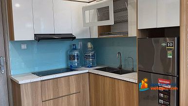 Apartment for rent with 1 bedroom + 43m² fully furnished, facing southeast, airy, villa view at Vinhomes Ocean Park