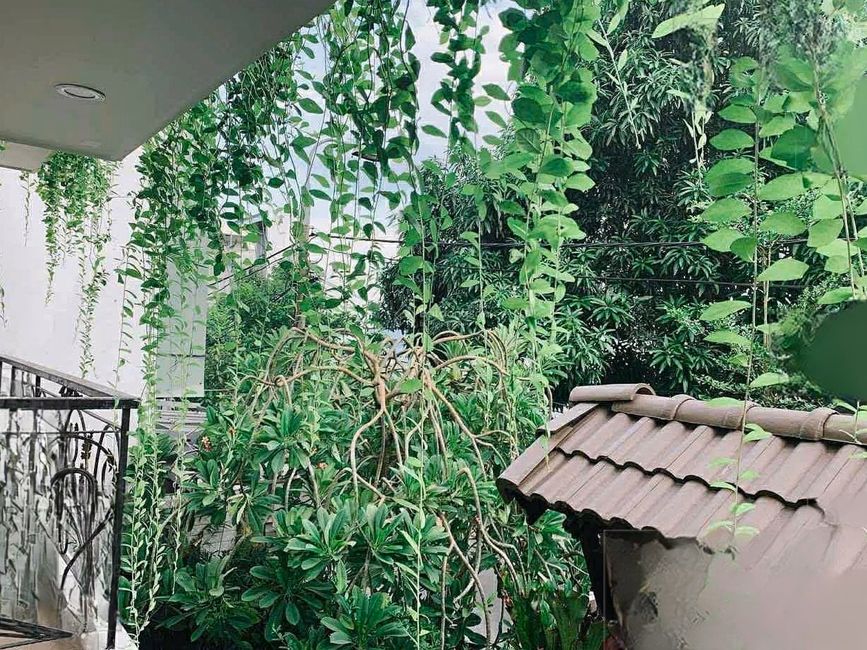 Selling by owner to notarize 2.5-storey villa Phu Loc 1 - Da Nang