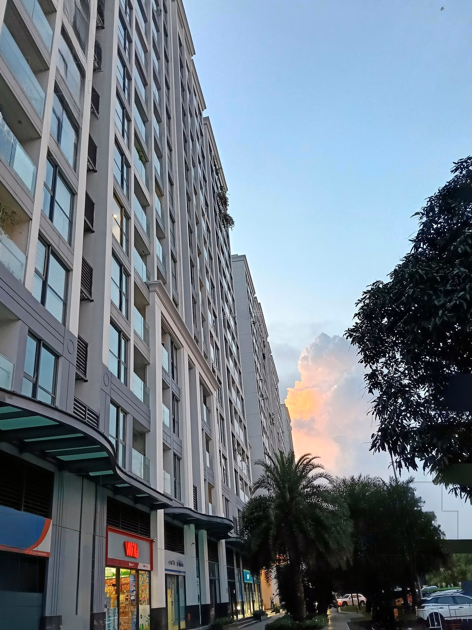 Apartment for rent with 2 bedrooms and 1 bathroom at Vinhomes Symphony, full of beautiful furniture, price 12 million/month
