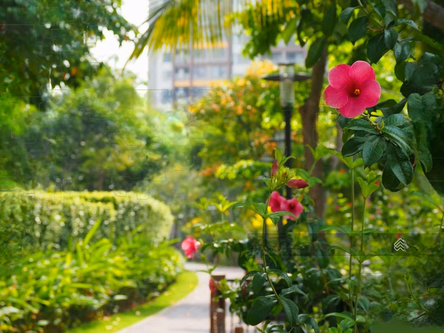 Own a luxury apartment Mizuki Park - Trellia Cove with beautiful view. Good price. 100% new. Contact here