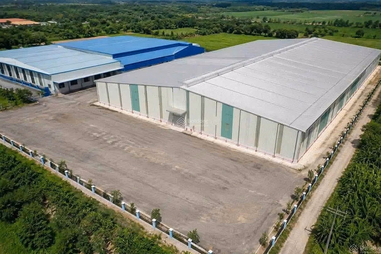 Warehouse for rent, 4000m2, automatic fire protection, price only 320 million/month