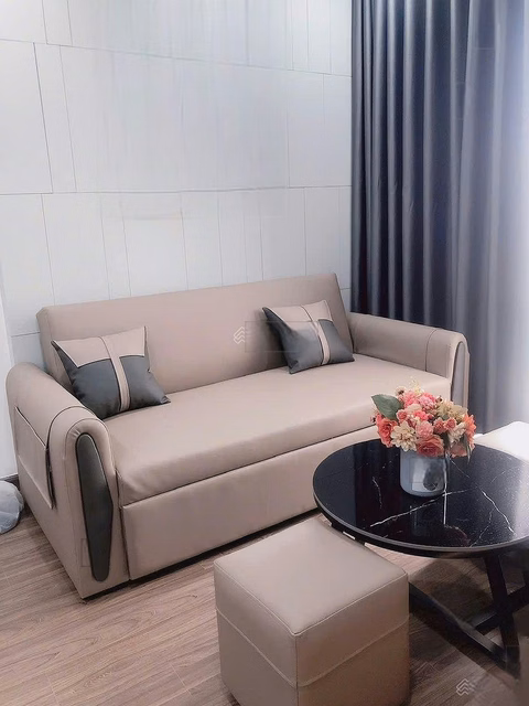 OWNER RENT FPT PLAZA2 APARTMENT, Fully furnished, price 12 million