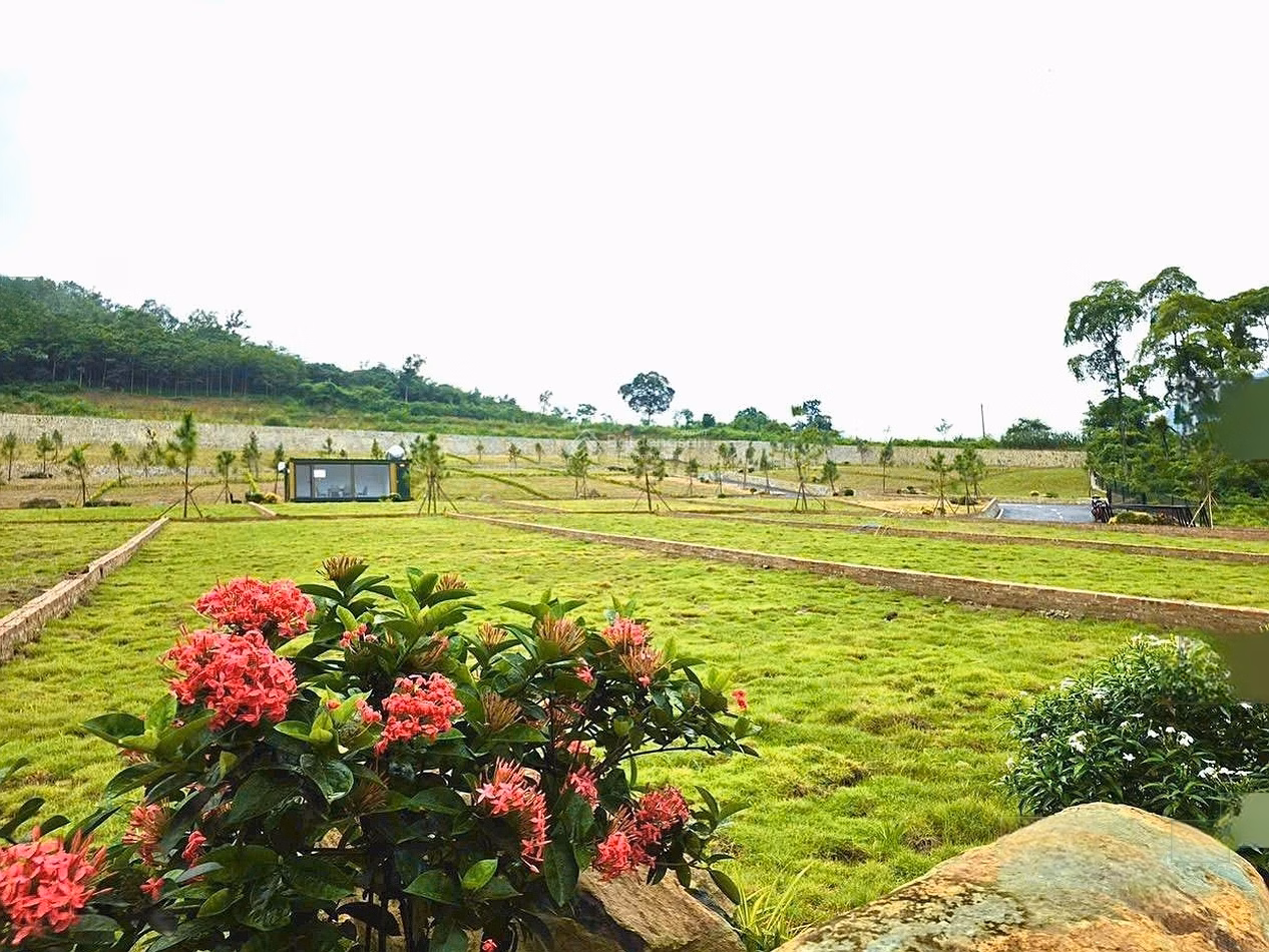 150m2 full residential area, resort land with valley view, near DHQG and Hoa Lac CNC