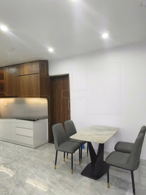 CH Vista Residence Da Nang for rent 21.3 million VND (management fee included) view Dragon Sun Wheel Bridge
