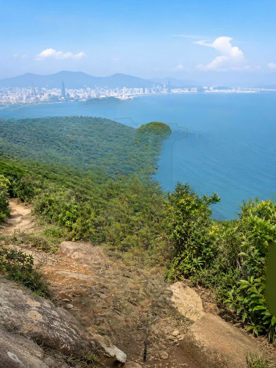 Apartment next to My Khe beach and Son Tra mountain - Long-term ownership - Only from 1.72 billion - The Camellia Son Tra