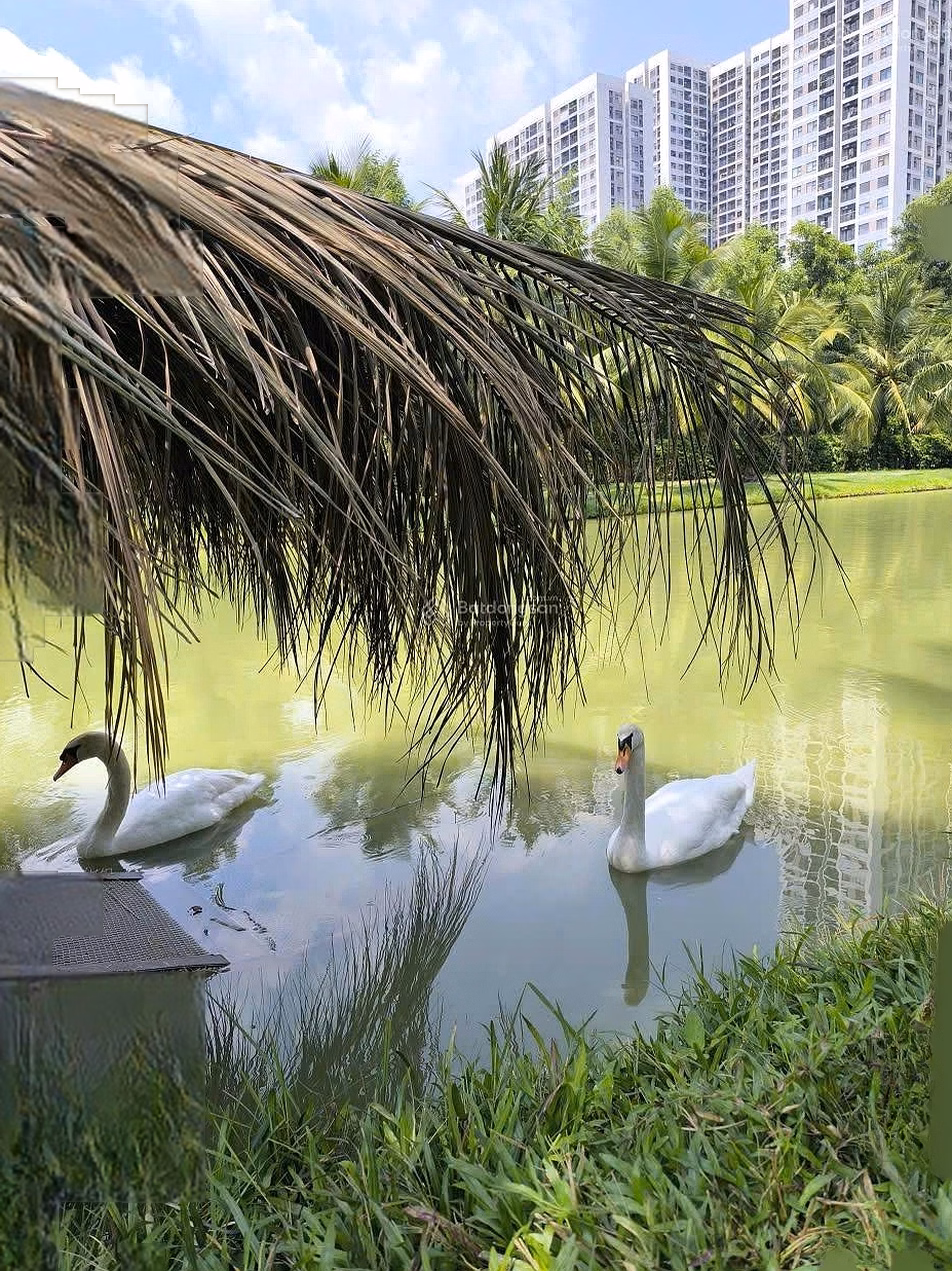 Beautiful view LM81 - 2 bedroom 1 bathroom apartment in Rainbow Vinhomes Grand Park subdivision