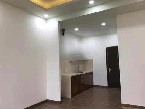 Basic furnished apartment for rent with kitchen of 40m2 at The Sun Aveneu apartment building